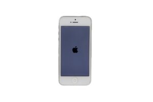 Смартфон Apple iPhone 5 1/64GB